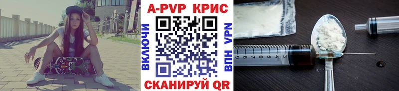 APVP СК  площадка официальный сайт  Пошехонье 
