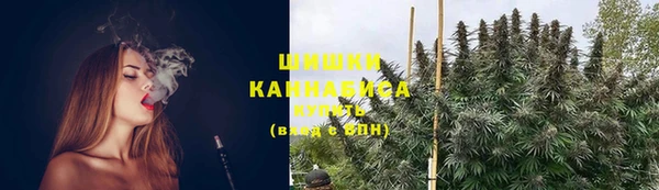 трава Аркадак