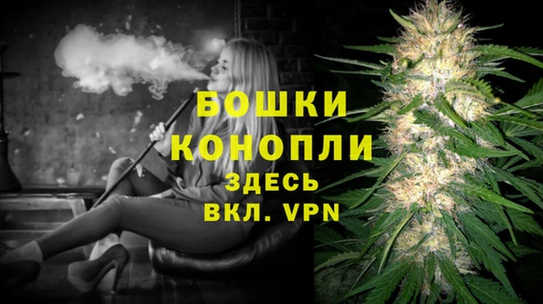 трава Аркадак