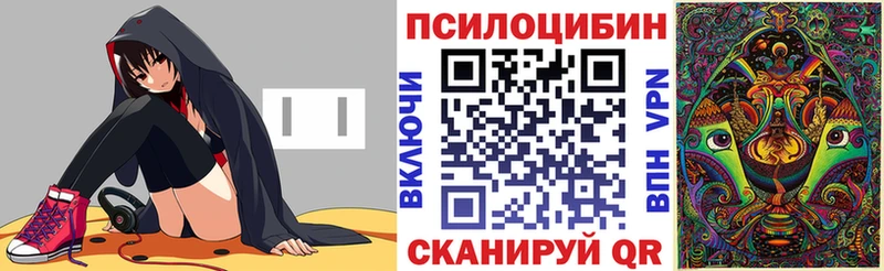 OMG ссылка  Пошехонье  Галлюциногенные грибы Magic Shrooms 